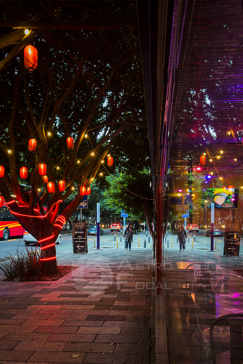 Insurgentes_Sur 3