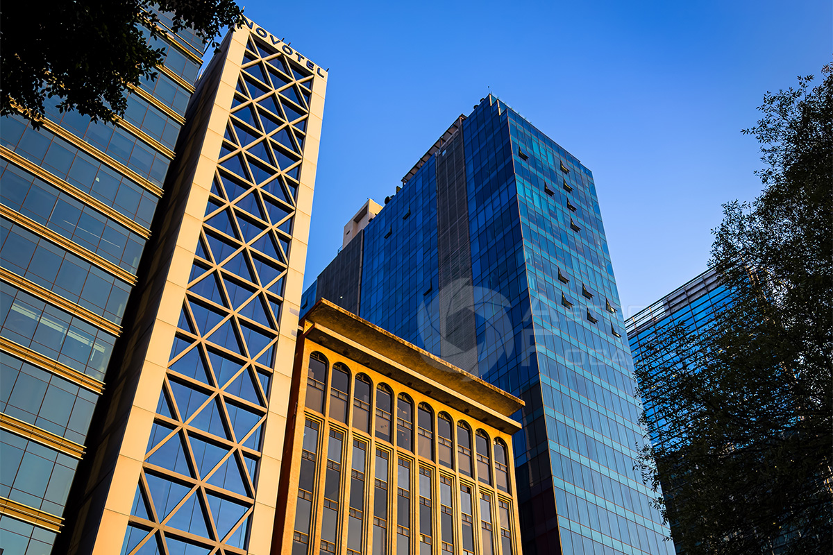 Insurgentes_Sur 2